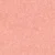 20 Pink Shell