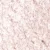 39 Metallic Baby Rose