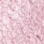 40 Metallic Ballerina Rose