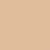 NR10 Neutral Rose 10